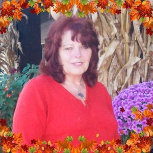 Meet your Posher, Faye